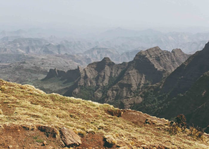 Simiens NP