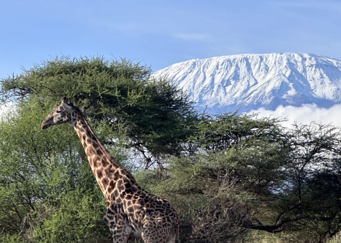 Amboseli