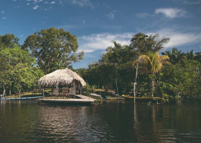 Croisière en amazonie