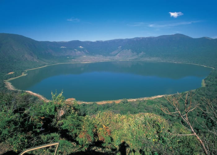 Du Serengeti à la zone de conservation du Ngorongoro