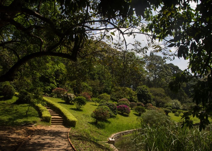 Kandy - Peradeniya - Nuwara Eliya