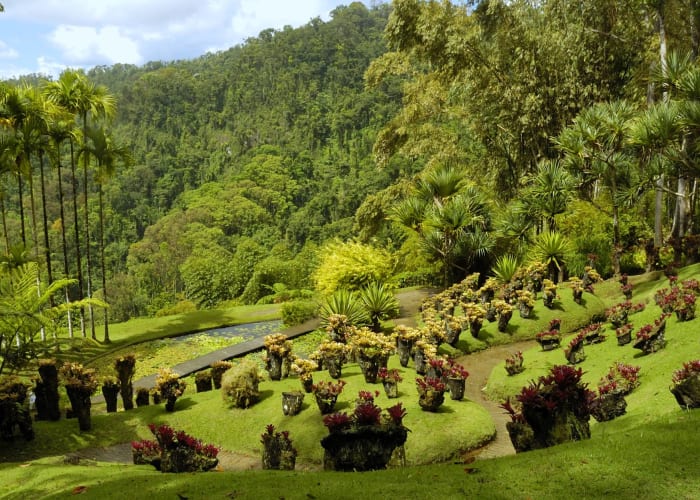 Jardin Balata et Parc Zoologique