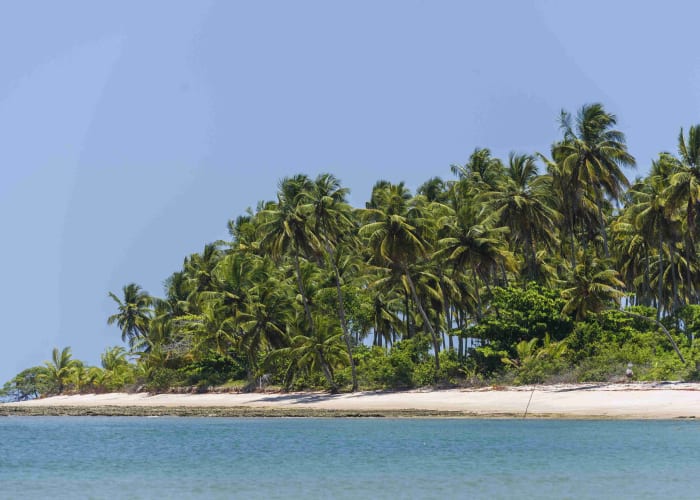 Praia do Forte