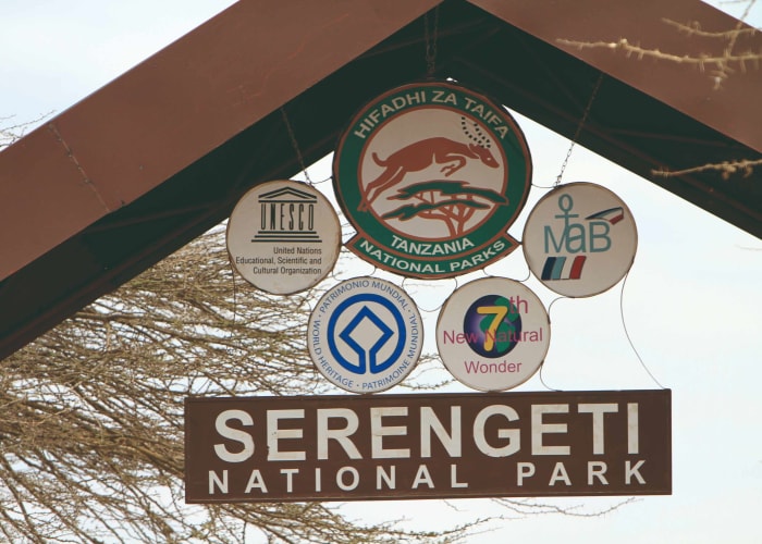 Découvrez le parc national du nord du Serengeti