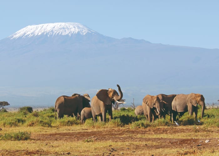 Moshi - Parc national du Kilimandjaro