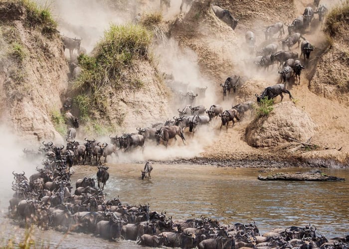 Découvrez le parc national du Serengeti