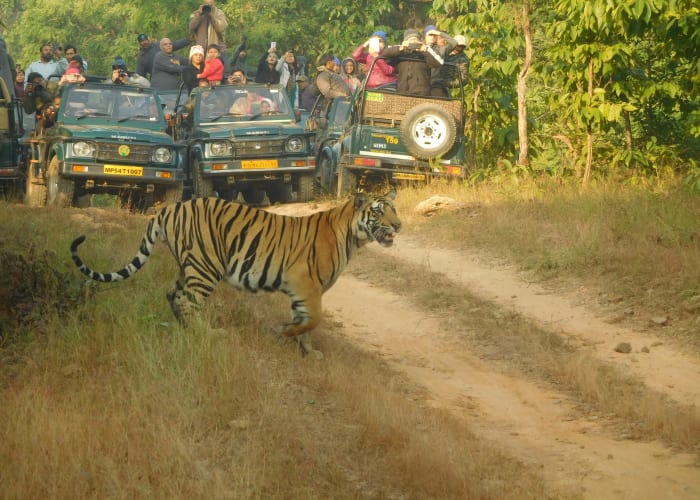 À Bandhavgarh