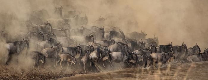 En route pour Serengeti National Park