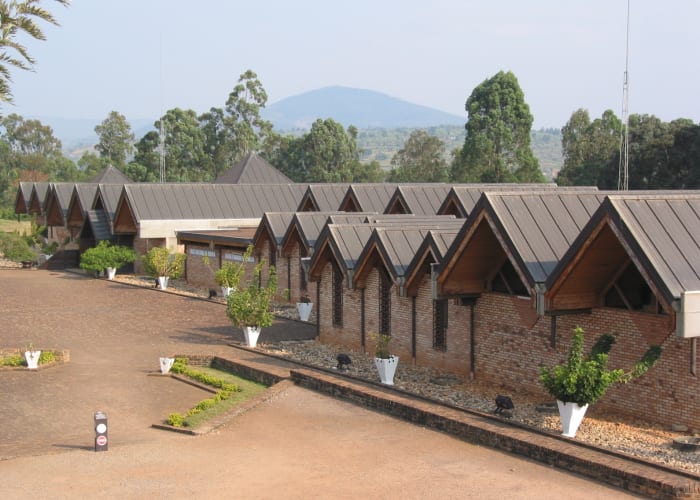 Transfert vers la forêt de Nyungwe - la maison des chimpanzés.