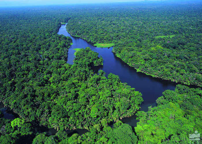 Parc National Tortuguero - Guapiles - Volcan Arenal