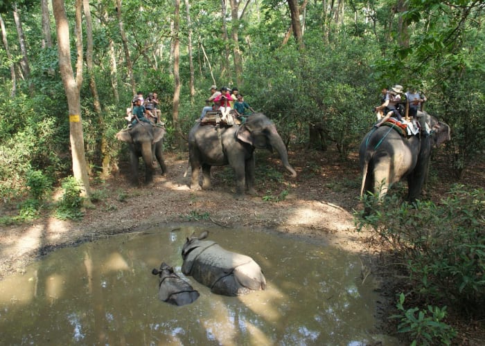 Chitwan