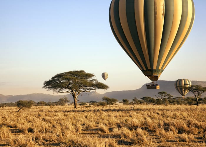Continuer à explorer le Serengeti