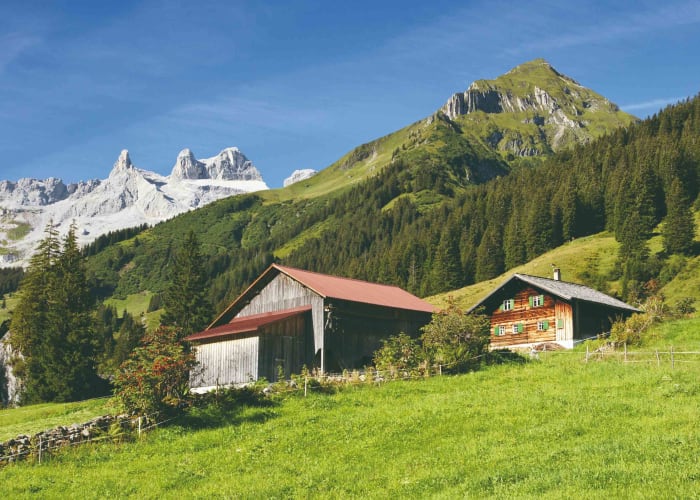 Les alpages enneigés de Sibratsgfall