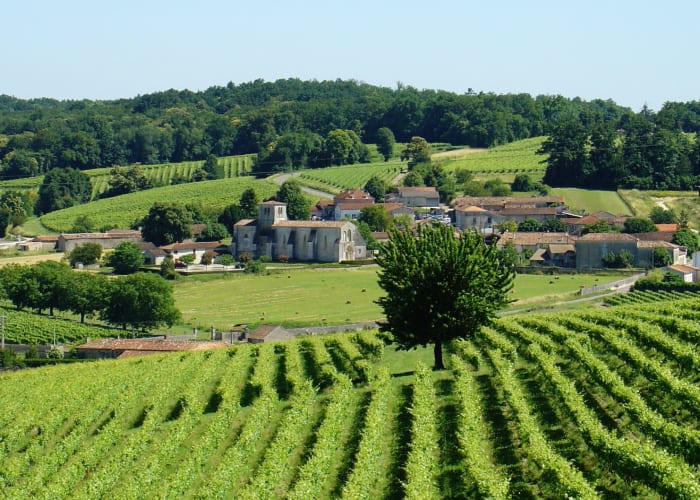 SAINT EMILION