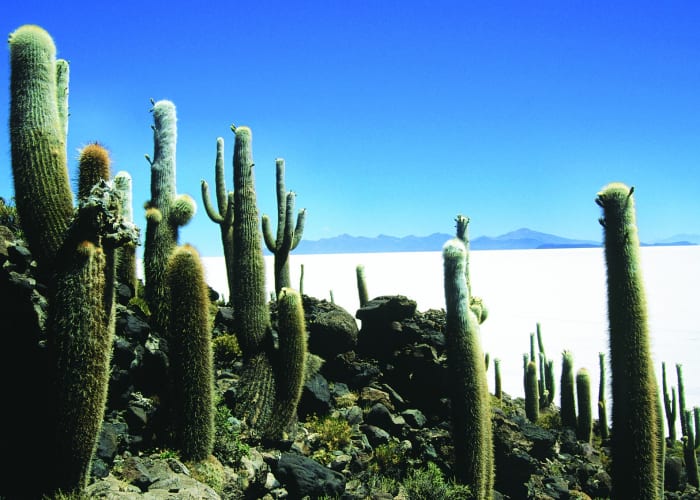 San Pedro de Quemez - Salar de Uyuni - Colchani
