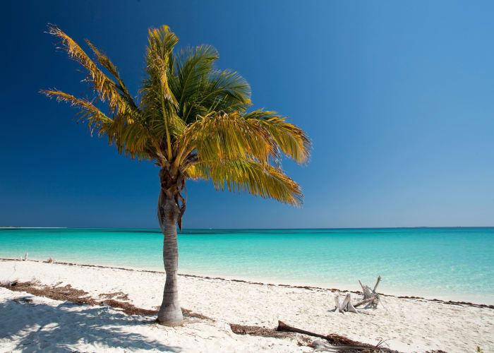 De retour à la capitale cubaine