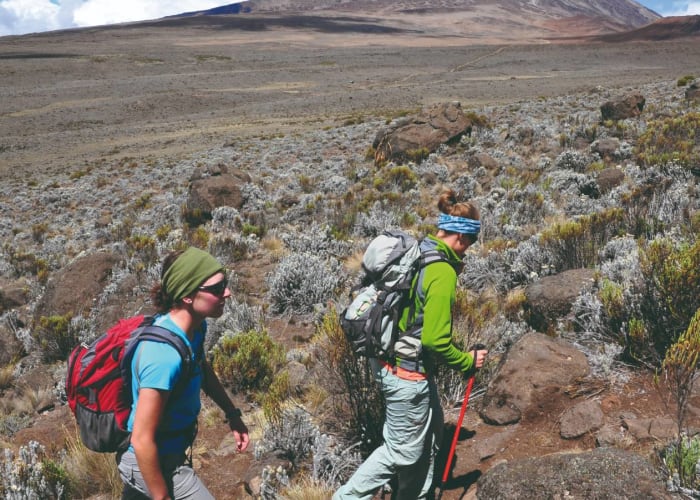 Barranco Camp - Karanga Camp (4200m)