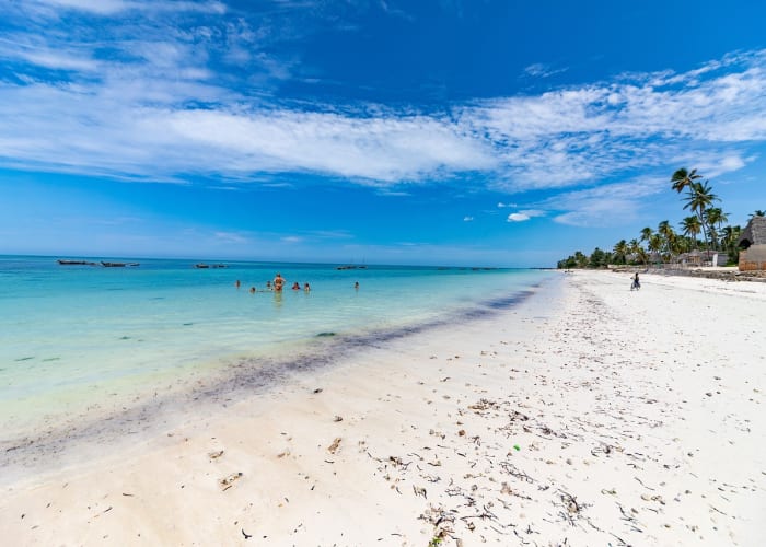 Serengeti, Arusha, Retour à la maison, Îles de Zanzibar