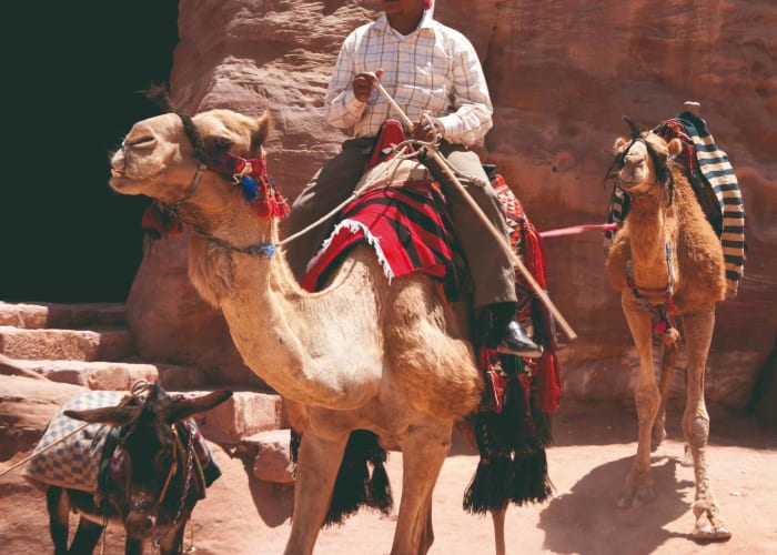 Petra : Rue des Colonnades - Tombes royales - Petit Siq
