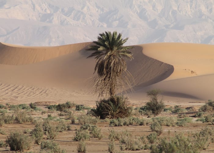 5eme jour : MER MORTE - MONT NEBO - MADABA - MA'IN