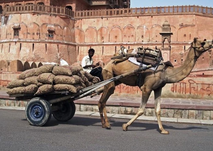Mandawa - Bikaner - 200 km