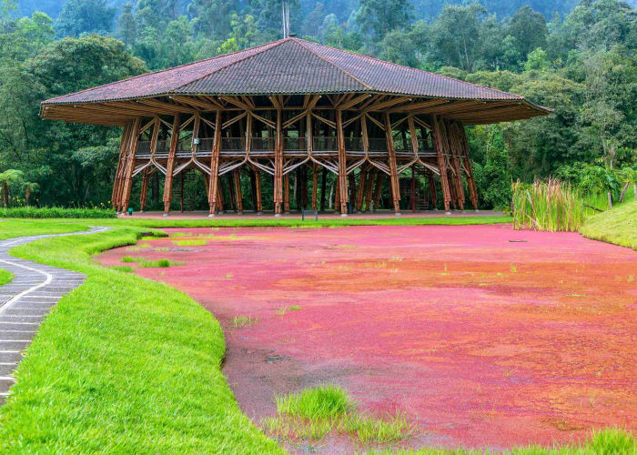 Manizales et bains thermaux de Santa Rosa de Cabal