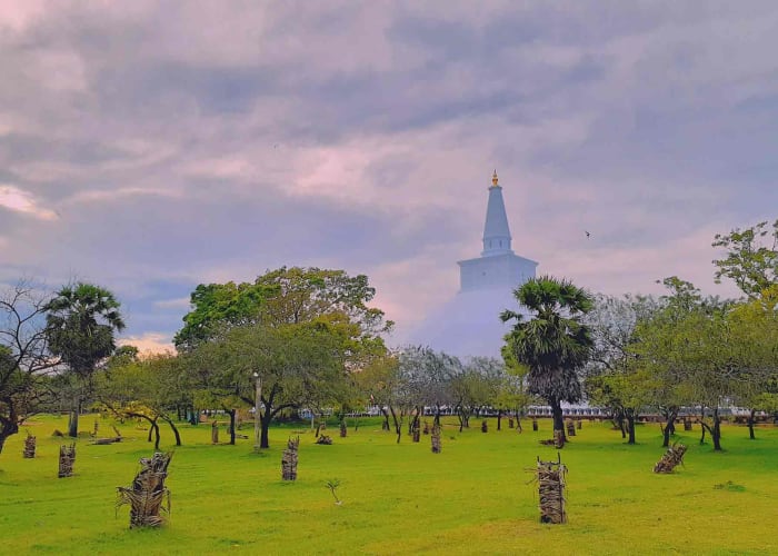 Negombo a Yapahuwa et Anuradhapura (4 h)
