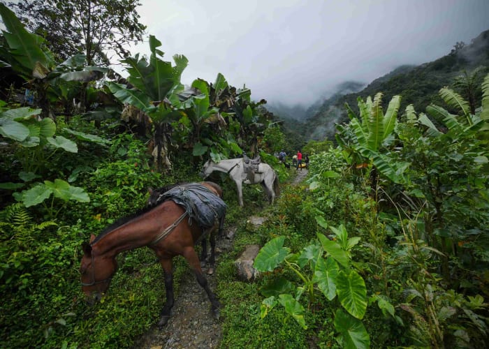 Le Meta et les llanos Orientales