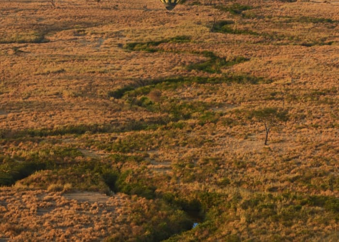 Parc du Serengeti