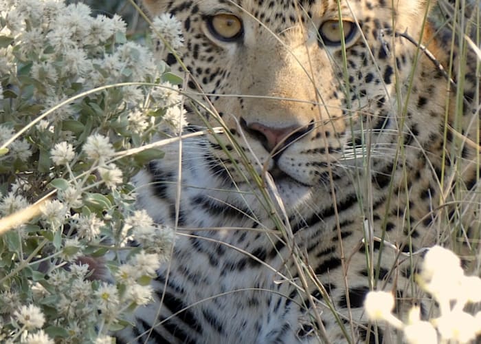 WINDHOEK - REHOBOTH - MARIENTAL (Kalahari)