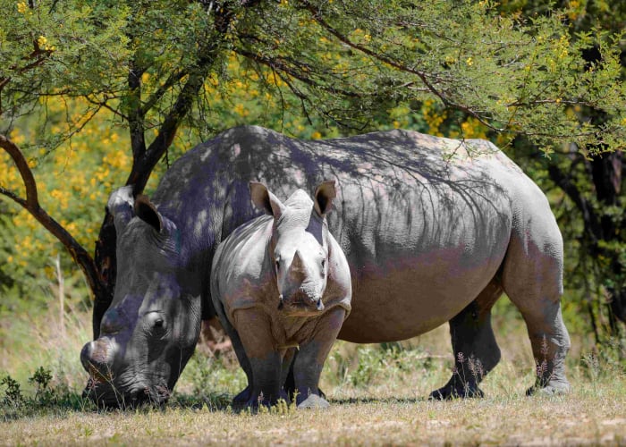 Parc national de Matobo