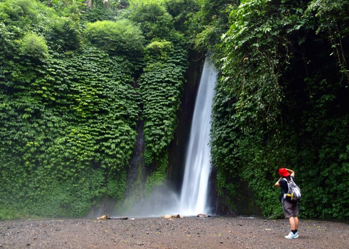 Traversée de la jungle- Cascades naturelles
