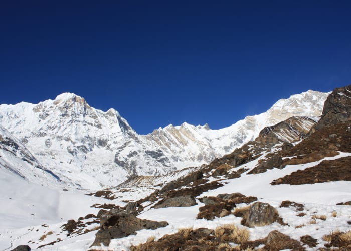 Trek pour le Camp de base du Machhapuchhare (3700 m) (environ 4 à 5 heures de marche)
