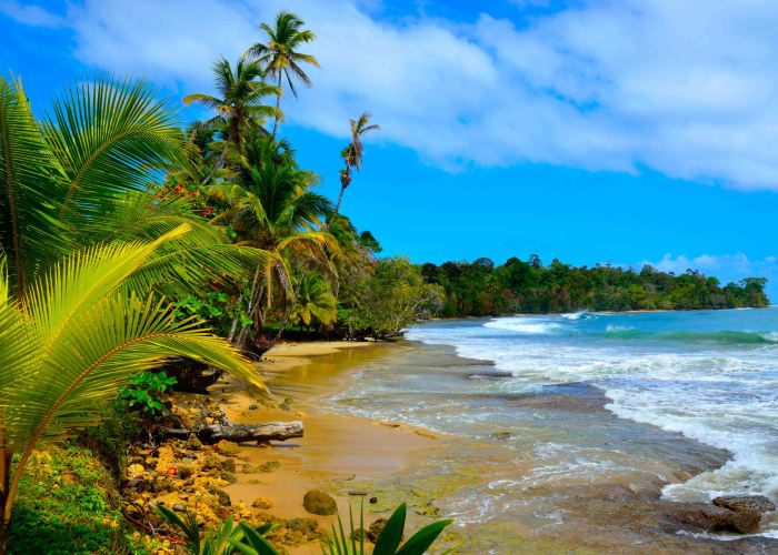 Boquete - Almirante - Bocas del Toro - Isla Bastimientos