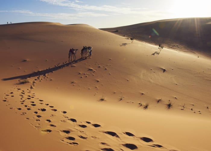 Tenouchert - Oued R'Kawya