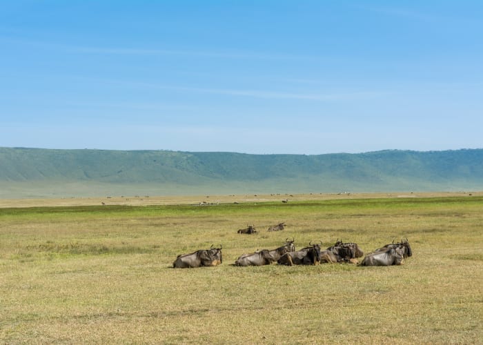 Serengeti - Cratère du Ngorongoro - Ville de Mto Wa Mbu