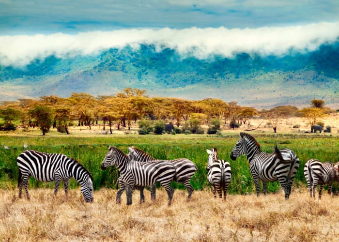 Route vers le cratère de Ngorongoro