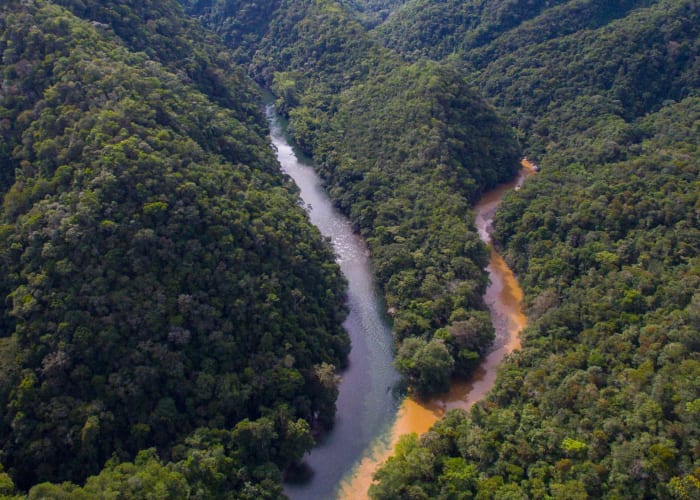 Départ pour la région sauvage du Meta