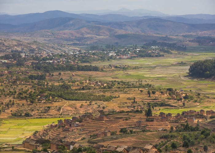 Ranomafana - Fianarantsoa  (B,D)