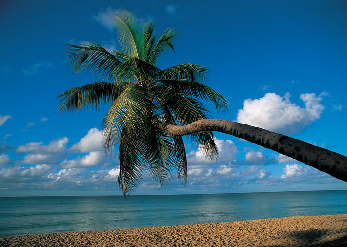 Les plages du sud  (Martinique)