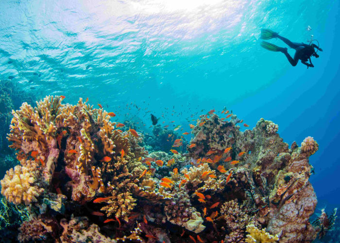 Praslin