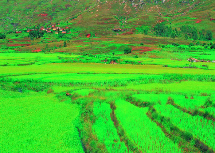Ranomafana Fianarantsoa