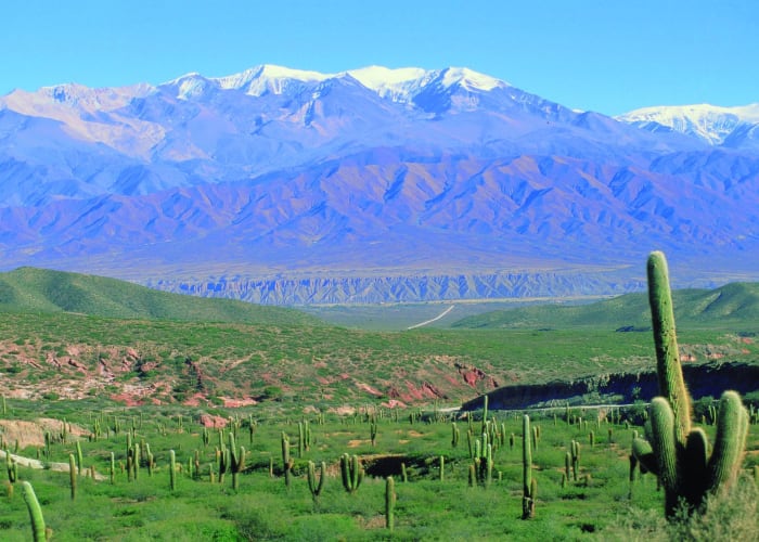 Salta - San Salvador de Jujuy - Salinas Grandes - Purmamarca