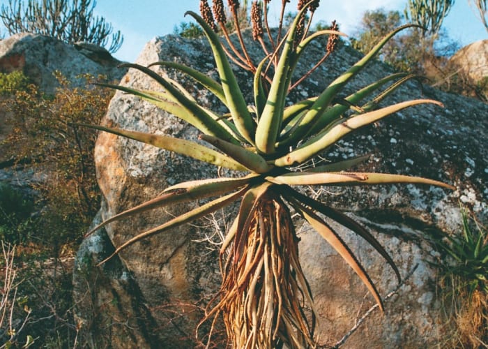 Parc national de Matobo