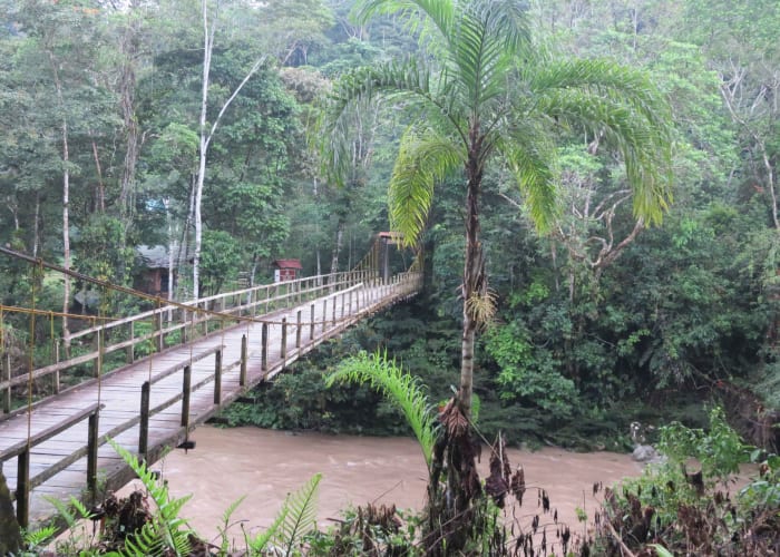 Excursion à Mocagua, atelier d'artisanat et fondation Maikuchiga