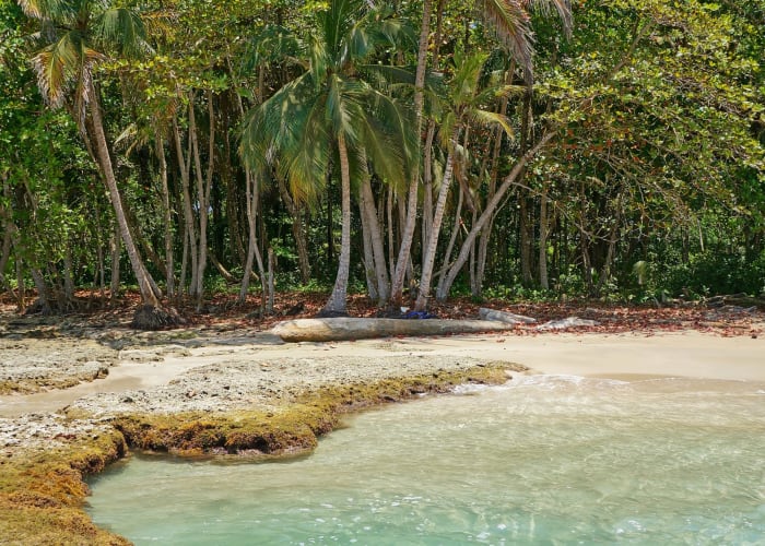 Puerto Viejo de Talamanca et Sarapiqui