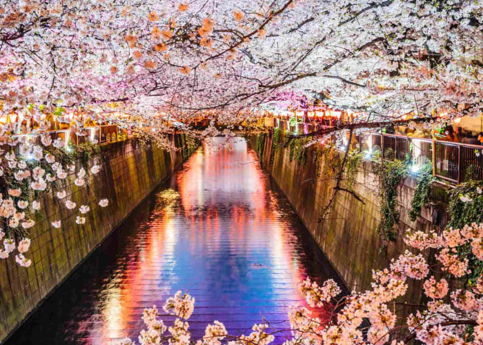 De Nikko à Tokyo
