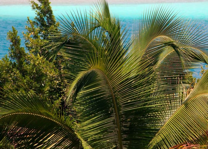 Lagune de Bacalar, Kayak au lever du soleil et baignade