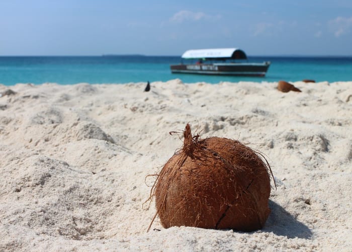 Vacances sur la plage de Zanzibar