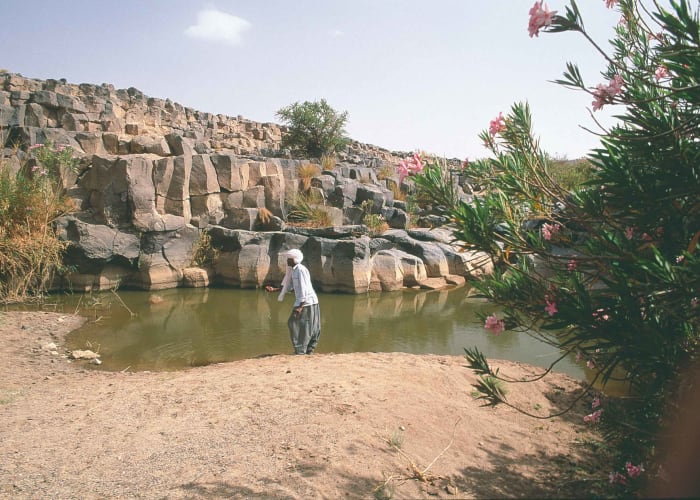 Timimoun - El Golea